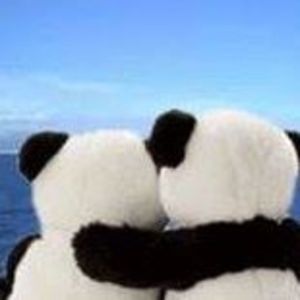 Meet your Posher, Jessie